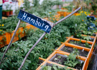 Urban Gardening: “Wir müssen auf die Dächer gehen” Urban Gardening in Hamburg.