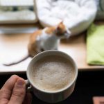 Kaffee im Katzentempel