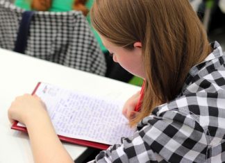 Protest gegen AfD-Lehrerportal Protest AfD: Am Montag protestieren SchülerInnen, Lehrende und Eltern gegen eine Internetplattform von der AfD. Foto: Pexels