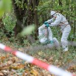 Dioxin-Gift in Billwerder Im Oktober 2018 nahmen Mitarbeiter einer von der Umweltbehörde beuftragten Spezialfirma Proben im Naturschutzgebiet Boberger Niederung, um es auf Dioxin zu untersuchen. Foto: Bodo Marks/dpa