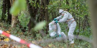 Im Oktober 2018 nahmen Mitarbeiter einer von der Umweltbehörde beuftragten Spezialfirma Proben im Naturschutzgebiet Boberger Niederung, um es auf Dioxin zu untersuchen. Foto: Bodo Marks/dpa