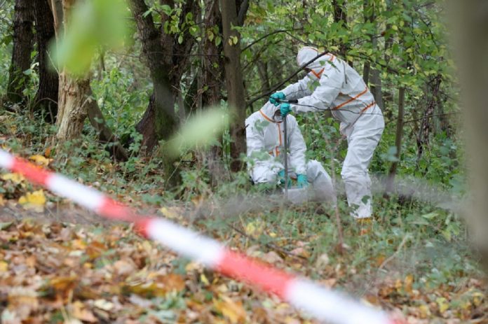 Im Oktober 2018 nahmen Mitarbeiter einer von der Umweltbehörde beuftragten Spezialfirma Proben im Naturschutzgebiet Boberger Niederung, um es auf Dioxin zu untersuchen. Foto: Bodo Marks/dpa
