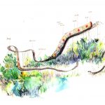 Wirtschaft stärken durch Bus und Bahn zum Nulltarif Seit 2006 steigen die Fahrpreise für den ÖPNV stark an. Illustration: Xiyu Tomorrow