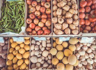 Quiz: Bist du ein spitzer Kohl oder ein hohler Kürbis? Verschiedene Obstsorten und Gemüse