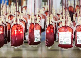 Zu wenig Blutspenden – die Hitze ist Schuld Aufgehängte Beutel mit Spenderblut