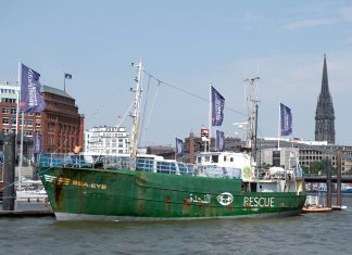 Flüchtlingsschiff soll in Hamburger Museum kommen Rettungsschiff "Sea-Eye" im Hamburger Hafen.