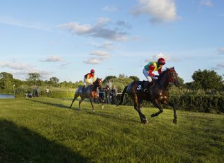 Pferderennen auf Horner Rennbahn: Event oder Tierquälerei? Seejagdrennen auf der Horner Rennbahn beim 150. Deutschen Derb
