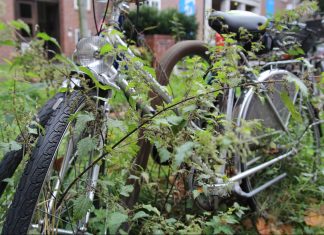 Stadtreinigung sammelt Fahrräder ein Nebeneinander stehende Fahrräder in einer Stadt