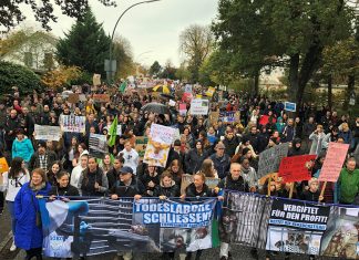 Demo gegen Tierversuche: Labore in Hamburg sollen schließen Menschen mit Protestschildern auf einer Demo gegen Tierversuche in Hamburg.