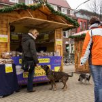 Hundeweihnachtsmarkt