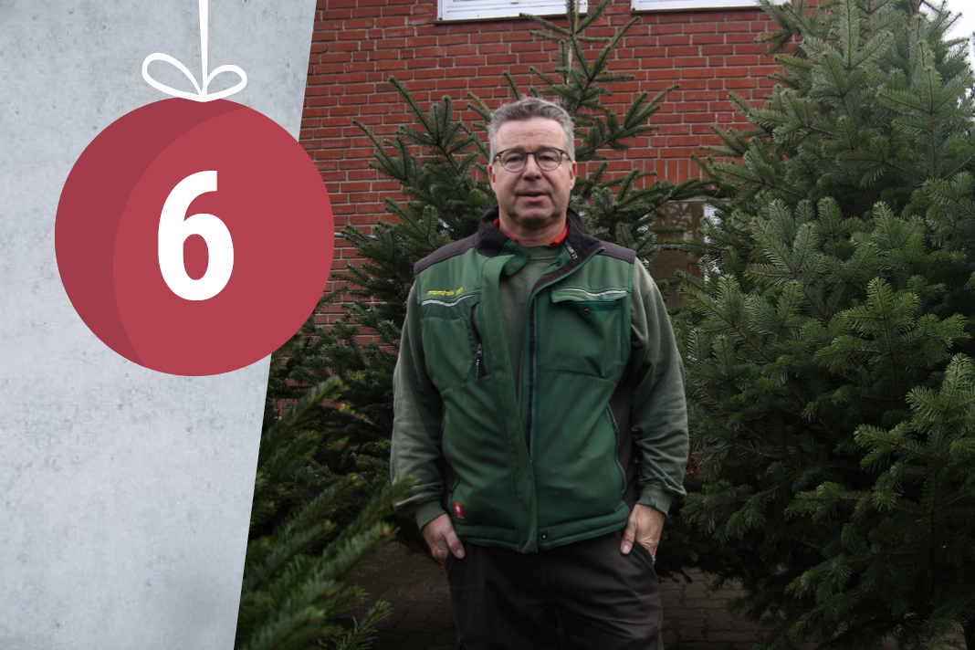 Kay Wortmann steht vor etwa zwei bis drei Meter hohen Weihnachtsbäumen in seinem Gartencenter.