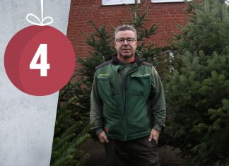 “Das Wichtigste ist, dass alle gesund bleiben” Kay Wortmann steht vor etwa zwei bis drei Meter hohen Weihnachtsbäumen in seinem Gartencenter.