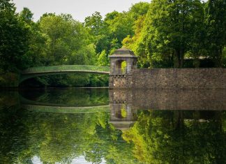 Hamburg will Grünflächen schützen Grünfläche in Eppendor in Hamburg.