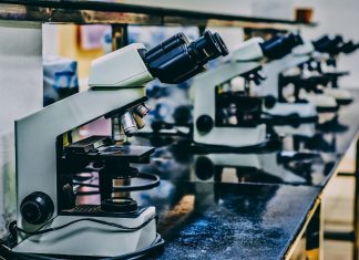 UKE: Weniger Tierversuche dank neuer Professur? Das Hamburger UKE will mit einer neuen Professur Tierversuche reduzieren. Foto: Unsplash