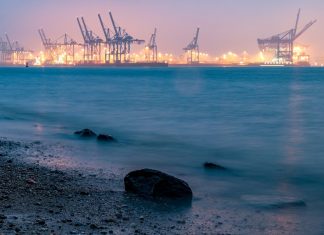 Sauger auf der Elbe: So können Hamburgs Gewässer sauberer werden Die Elbe, im Hintergrund Kräne. Foto: Pixabay