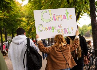 Fridays for Future: Protest gegen Siemens-Pläne Eine Frau die ein Plakat hoch hält. Darauf steht "Climate Change is real"