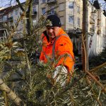 Oh Tannenbaum, wohin fliegst du aus dem Raum? Mann von der Stadtreinigung Hamburg sammelt ausgedienten Weihnachtsbaum ein.