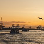 Prozess um Elbvertiefung geht in die nächste Runde Hamburger Hafen Sonnenuntergang