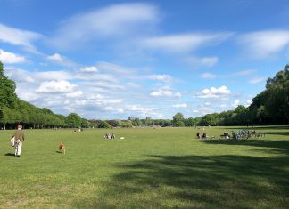 Zwischen Freude und Unsicherheit Was steht Hamburg zu den Lockerungen der Corona-Maßnahmen?
