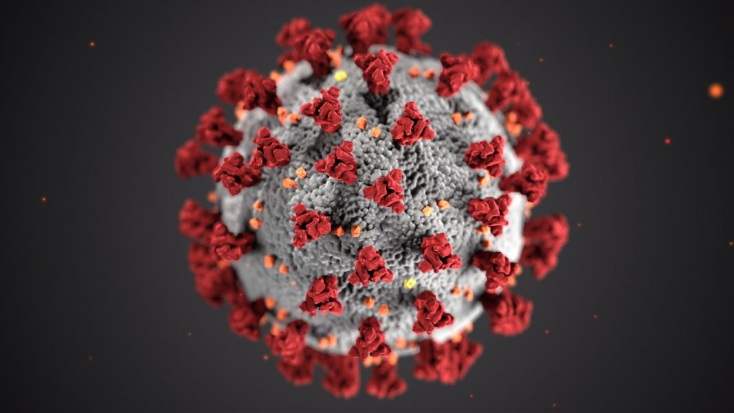Corona als Virus dargestellt