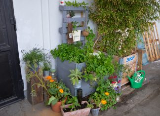 Permakultur: Im Einklang mit der Natur Ein Upycycling-Hochbeet beim Permakultur-Workshop. Foto: Maja Andresen