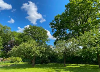 Von Gärten und Krisen In diesem Garten verbrachte Janina in ihrer Kindheit viel Zeit. Foto: Maja Andresen