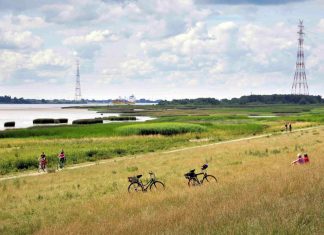 Ab ins Grüne: Wildkräuter bestimmen und Insektenhotels bauen Foto der Natur im Regionalpark_Wedeler