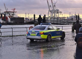 “Überall, wo Macht herrscht, ist auch die Gefahr des Missbrauchs da” Polizeiauto am Hamburger Fischmarkt