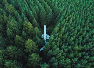 Wie die Luftfahrt-Krise der Umwelt langfristig schaden kann