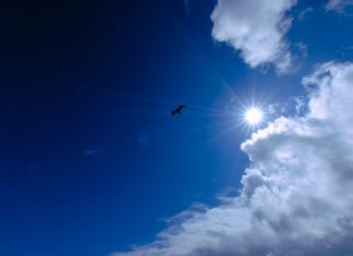 Volle Strände und überfüllte Orte am langen Wochenende Blauer Himmel und Sonnenschein