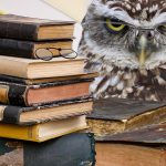 Quiz: Bist du ein Duden-Ass oder eine Rechtschreib-Niete? Schlau durch unser Duden-Quiz