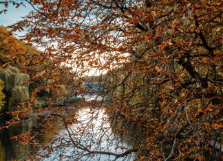Ein Spaziergang durch das herbstliche Hamburg Oktoberstimmung_an_der_Mundsburger_Bruecke