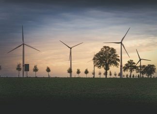 Wann ist Ökostrom wirklich grün? Windräder zwischen Bäumen auf Feld