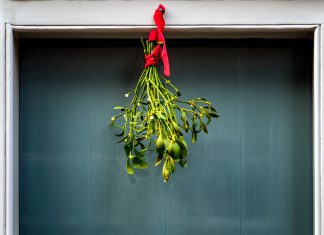 Der Mistelzweig: Die Kuss-Garantie an Weihnachten Unter einem Mistelzweig gilt: Kuss-Pflicht.