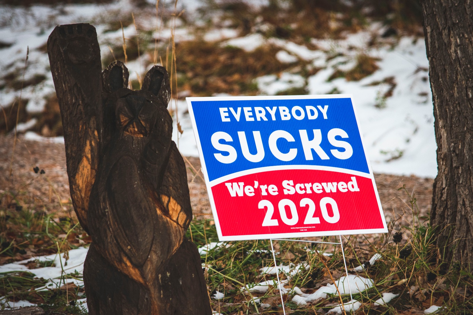 "Everybody sucks" Schild, Wahlwerbespots in den USA