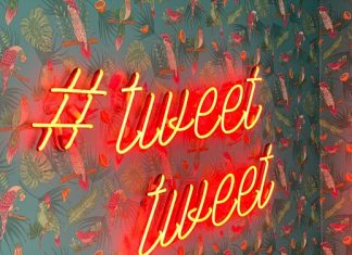 Zu viel Wirbel untergräbt die Botschaft Vogeltapete mit Neonschriftzug