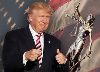 Wie mächtig ist der US-Präsident wirklich? macht_praesident_us-wahl_fink_hamburg_trump_baur_alex