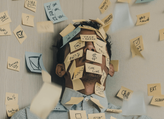 Produktiver im Homeoffice: Kann ein Waschbär helfen? Keine Produktivität im Homeoffice.