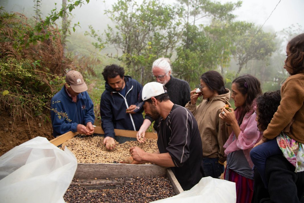 Kaffee Nachhaltigkeit Mexiko Plantage