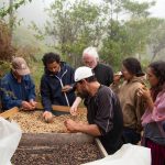 Nachhaltiger Kaffeeanbau in Mexico