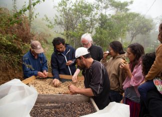 Was macht nachhaltigen Kaffee aus? Kaffee Nachhaltigkeit Mexiko Plantage