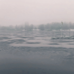 Mann bricht in Alster ein – und rettet sich selbst Alster