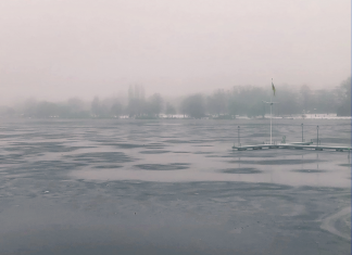 Mann bricht in Alster ein – und rettet sich selbst Alster