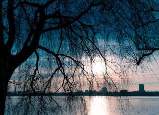 Hamburg bei Eis und Frost Sonnenuntergang_an_der_Außenalster