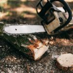 200 Jahre alte Bäume sollen gefällt werden Kettensäge liegt im Wald auf Boden
