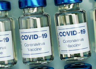 Über 33.000 neue Impftermine in Hamburg freigeschaltet impftermine_hamburg_fink_januar