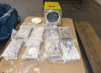 Hamburger Hafen: Größter Kokainfund aller Zeiten Kokain Fund Rekord Zoll Hamburg