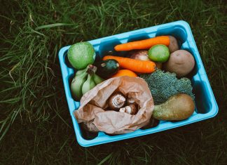 Biokiste: Komfortabel und nachhaltig? Eine Kiste mit Gemüse: WIe nachhaltig sind Biokisten?