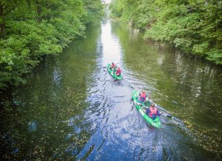 Wer Müll sammelt, fährt kostenlos Kayak Mit Green Kayak kann man kostenlos in Hamburg Boot fahren