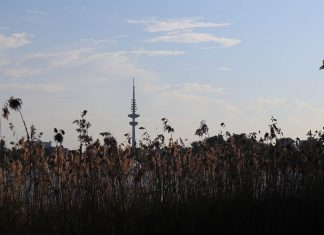 Senat beschließt den Erhalt von Hamburgs Stadtgrün Hamburg bleibt Grün, Stadtgrün